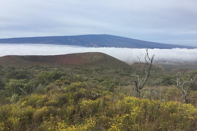 Big Island Volcano Adventure from Kona: Small Group - Lava tubes, black-sand coast, and changing plans