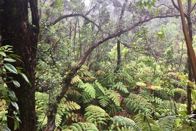 Big Island Volcano Adventure from Kona: Small Group - Scott’s guiding style and the small-group advantage