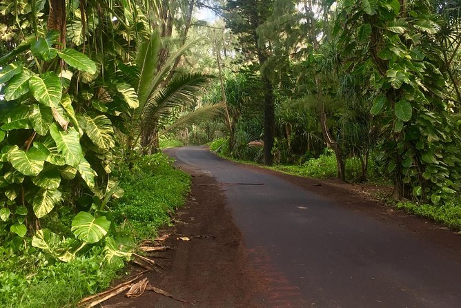 Big Island Volcano Adventure from Kona: Small Group - What the $247 price buys you