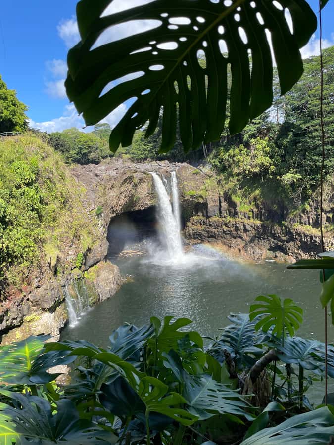 Big Island: Volcano, Black Sand Beach, Waterfall, with Lunch - Walking through Nahuku, the Thurston Lava Tube