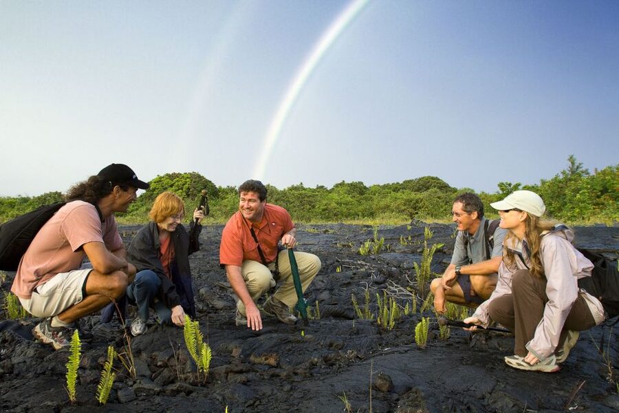 Big Island: Volcano, Chocolate & Waterfall Adventure - Who should book this experience?