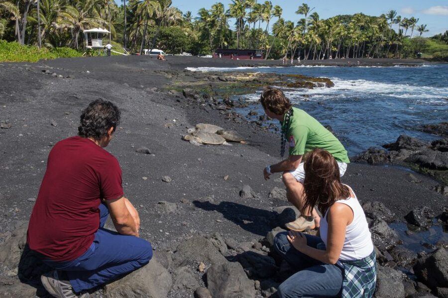 Big Island: Volcanoes, Waterfalls, & Coffee Farm Day-Trip - Akaka Falls and Rainbow Falls