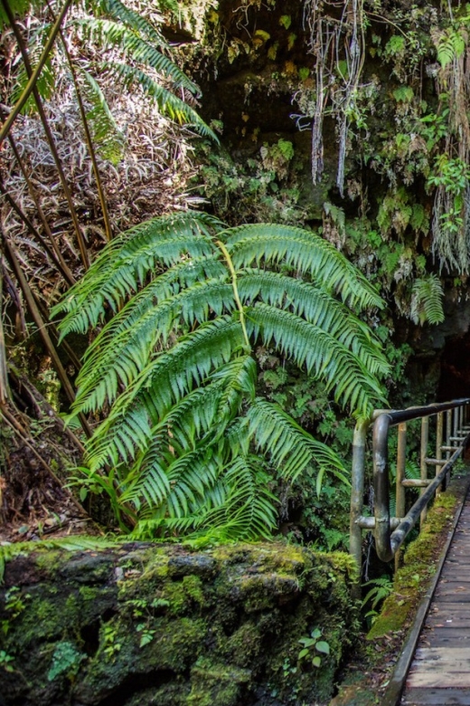 Big Island: Volcanoes, Waterfalls, & Coffee Farm Day-Trip - The Long Return Through South Point
