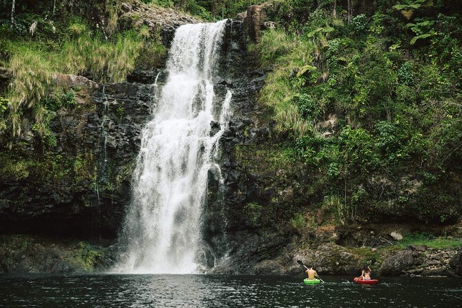 Big Island Waterfalls Tour with Swimming and Botanical Garden - A full Big Island day that ends at a waterfall