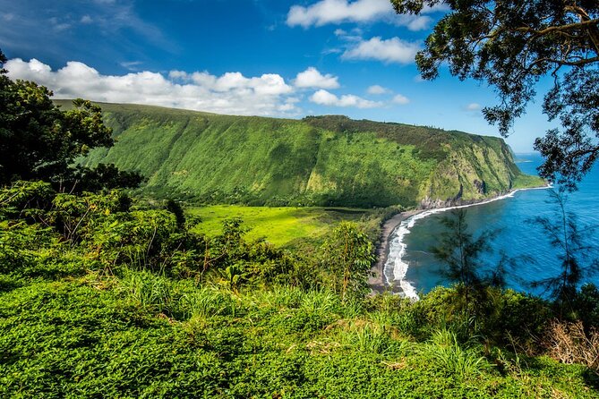 Big Island Waterfalls Tour with Swimming and Botanical Garden - The private swim at Kulaniapia Falls
