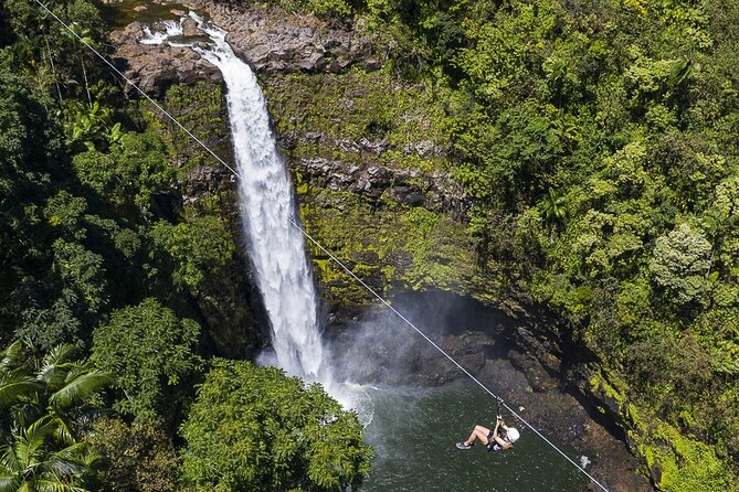 Big Island Zipline Tour Near Akaka Falls (250-ft Waterfall!) - Hawaiian crops, fruit, and a better sense of place