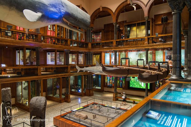 Bishop Museum General Admission Ticket - Is $38.95 a fair price?