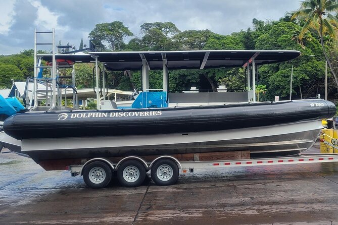 Captain Cook Snorkel Tour with Sea Caves and Lava Tubes - Kealakekua Bay gives the tour its reason to go