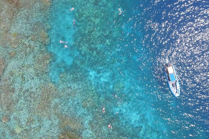 Captain Cook Snorkel Tour with Sea Caves and Lava Tubes - Who gets the best value from the $89 price
