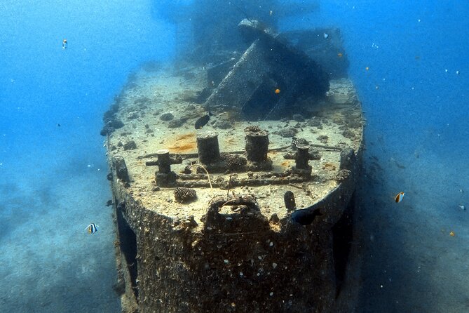 Certified Diver: 2-Tank Deep Wreck and Shallow Reef Dive Off Oahu - The Sea Tiger sets the tone