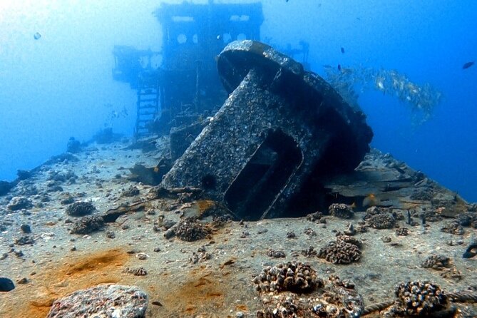 Certified Diver: 2-Tank Deep Wreck and Shallow Reef Dive Off Oahu - Expect a real boat entry, not a poolside start