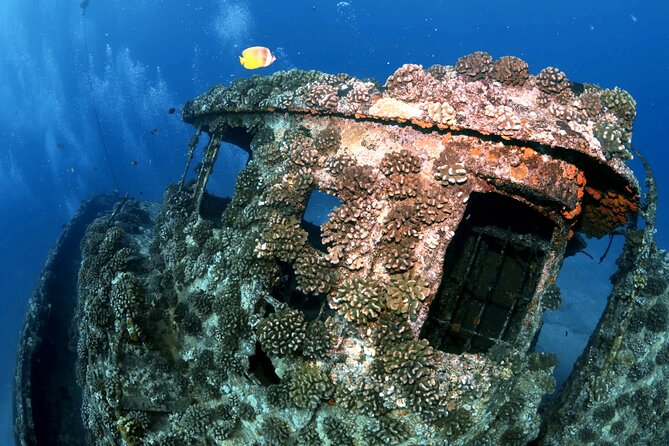 Certified Diver: 2-Tank Deep Wreck and Shallow Reef Dive Off Oahu - Marine life is the bonus you cannot schedule