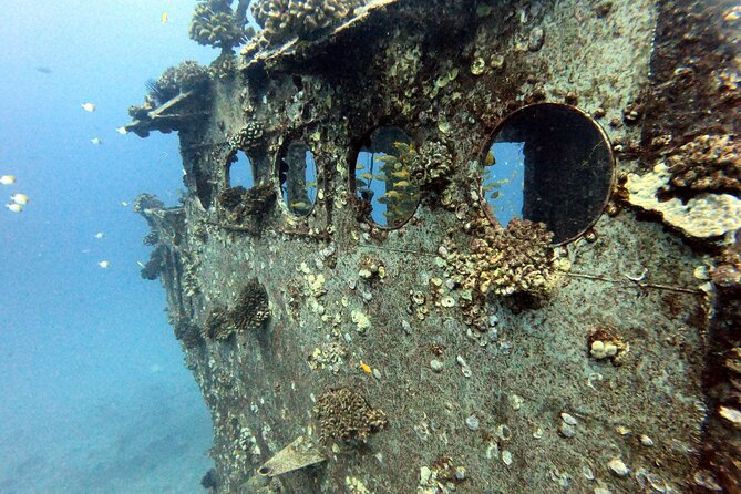 Certified Diver: 2-Tank Deep Wreck and Shallow Reef Dive Off Oahu - The shallow reef slows the morning down