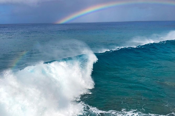 Customizable Island Tours Tours on Oahu - Starting from Waikiki and finding your rhythm