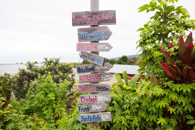 Day Trip from Oahu to Hilo: Volcano Adventure - The early flight sets the pace