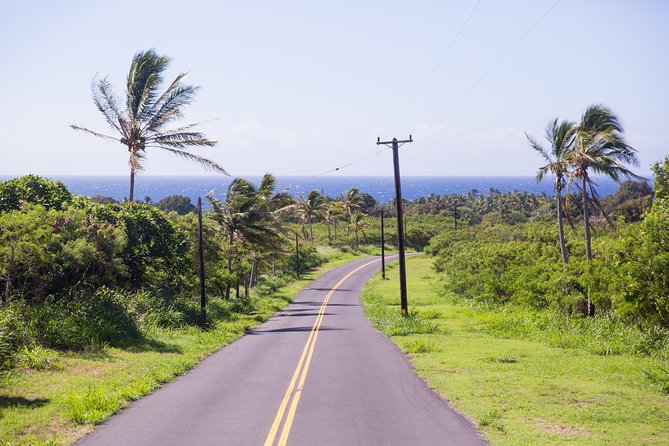 Day Trip from Oahu to Hilo: Volcano Adventure - Chain of Craters Road and Devastation Trail
