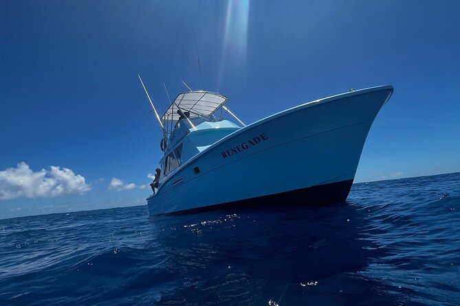 Deep Sea Shared Fishing Charter in Honolulu - Rough water, delays, and other practical concerns