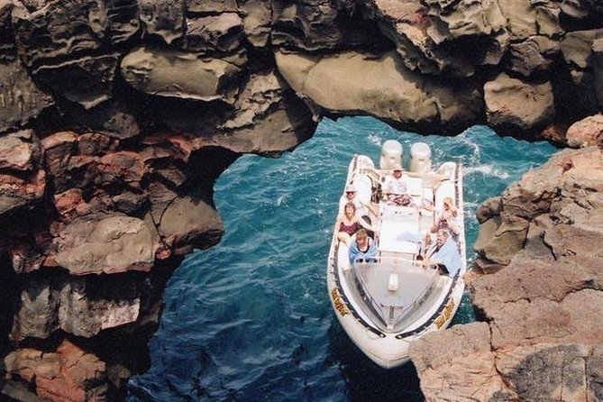 Deluxe Morning Snorkeling Adventure - Marine life: excellent possibilities, no guarantees