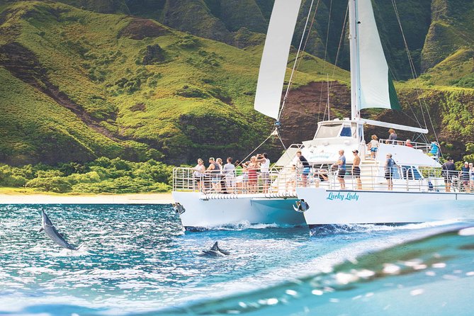 Deluxe Na Pali Morning Snorkel Tour on the Lucky Lady - Wildlife sightings are a bonus, not a guarantee
