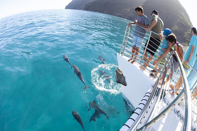 Deluxe Na Pali Morning Snorkel Tour on the Lucky Lady - Who should book this cruise?