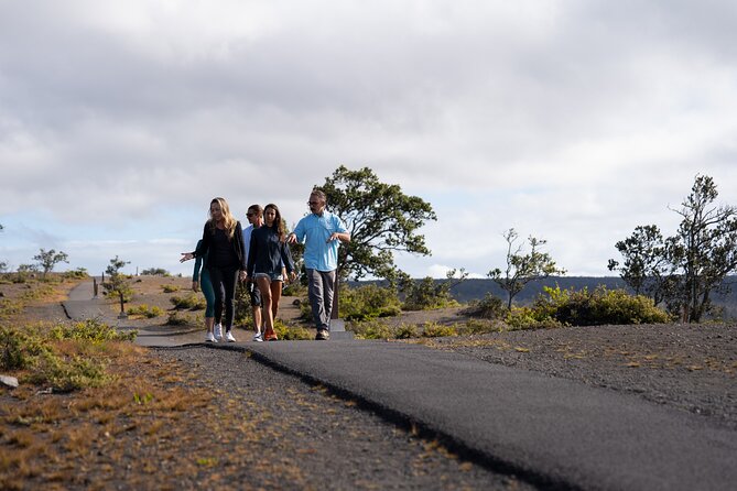 Deluxe Volcano Experience with Restaurant Dinner - The van, group size, and guide quality
