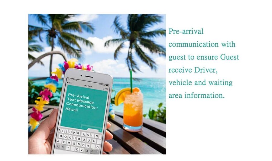 DEPARTURE-Private Transfer waikiki to HNL airport by minivan - A simple last morning in Waikiki
