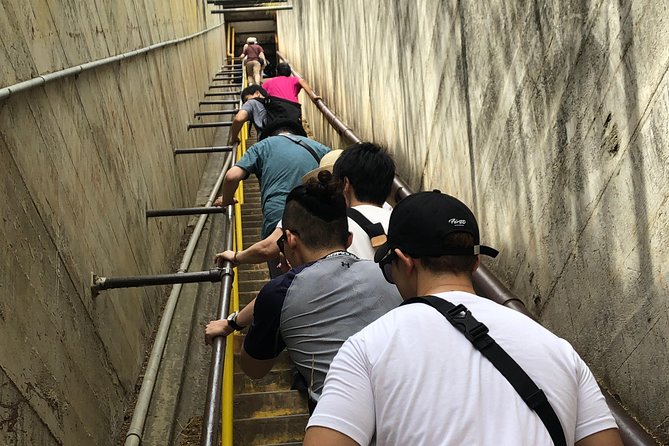 Diamond Head Bike to Hike and Local Lunch - Photos, equipment, and guide style