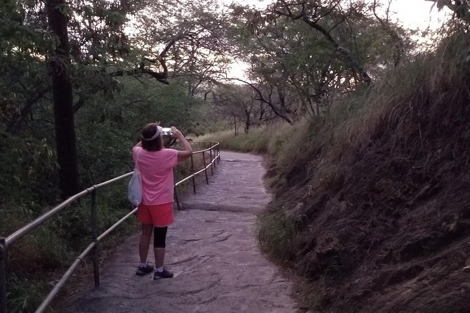 Diamond Head Crater - Who gets the best value from $39.99?