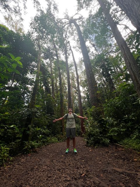 Diamond Head Manoa Falls - A flexible breakfast stop breaks up the hikes