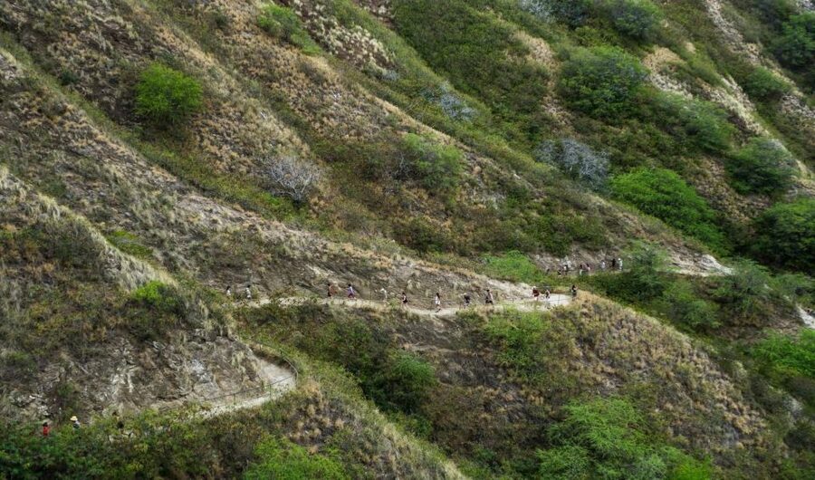 Diamond Head Manoa Falls - Extra stops can make the day more personal