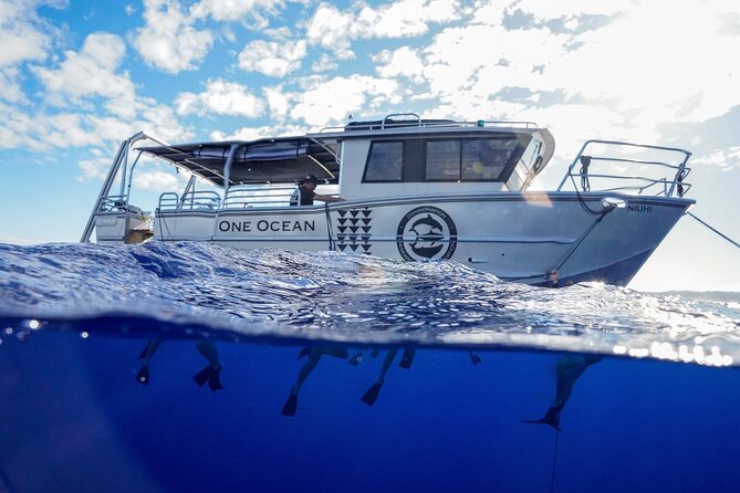 Dive with Sharks in Hawaii: Shark Tour from Haleiwa - A shark briefing with a purpose
