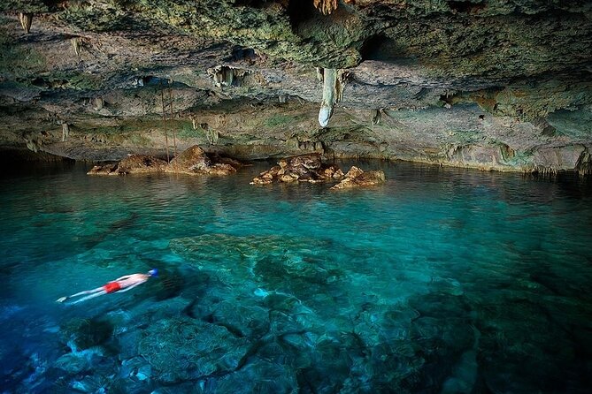 Dolphin, Sea Cave & Captain Cook Snorkel Combo in Kealakekua Bay - Choosing Kailua-Kona or Keauhou