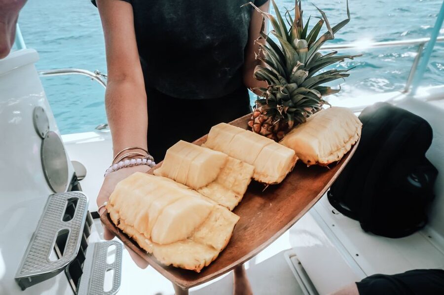 Dolphin Watch Snorkel and BBQ in Kona, Big Island - What the snorkeling feels like for different swimmers