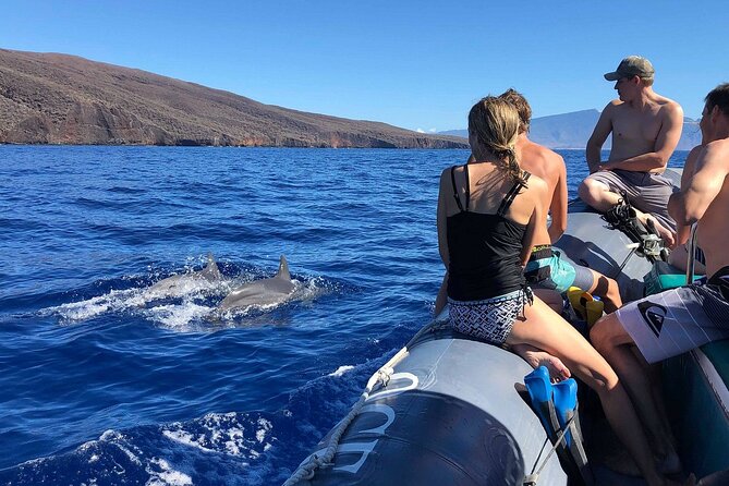 Eco-Raft Tour: Maui-Lanai Snorkel / Dolphin Watch (Semi-Private) - Who should book this tour
