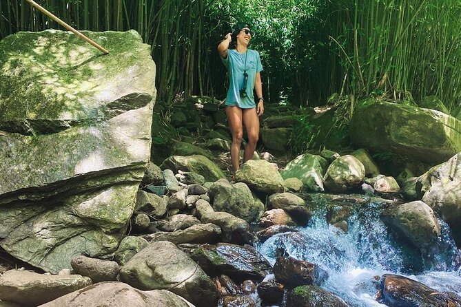 Epic Waterfall Adventure, the Best of Maui - Is the $158.47 price fair?