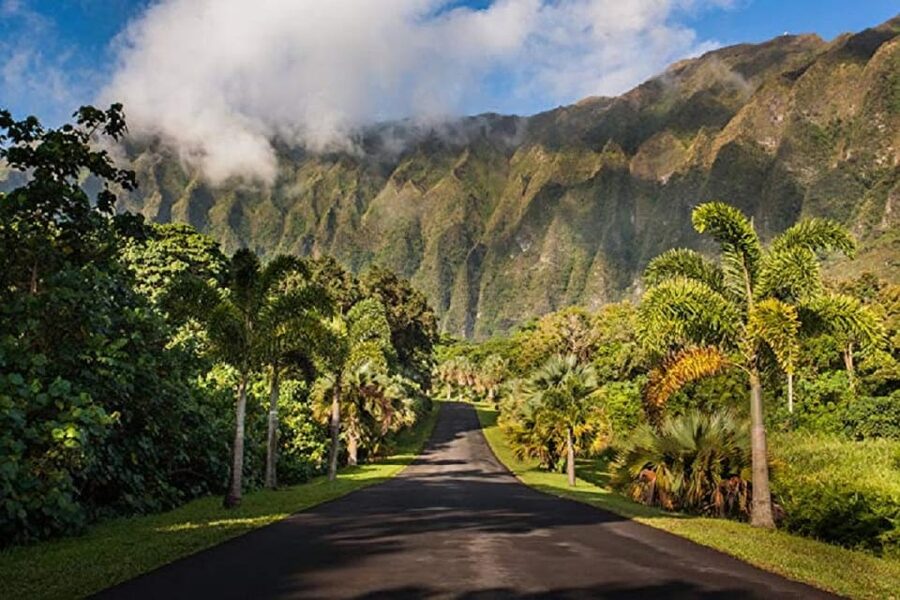 Explore Oahu in a Polaris Slingshot - Key points to know before you book