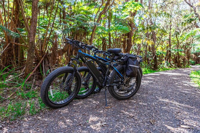Fat Tire E-Bike Rental - Volcanoes National Park - What makes the ride special