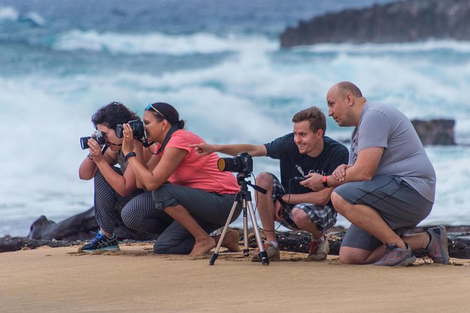 First Day Must: Oahu Sunrise & Circle Island Adventure - Haleiwa gives you room to choose your own lunch