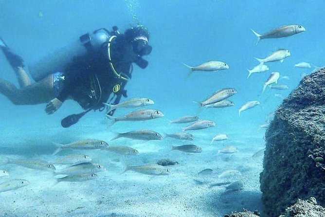 First-Time Scuba Diving in Honolulu + Free Videos - What this Honolulu scuba lesson is really like