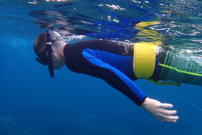 Four Winds Molokini Snorkeling Tour from Maalaea Harbor - Why Molokini is worth the early start