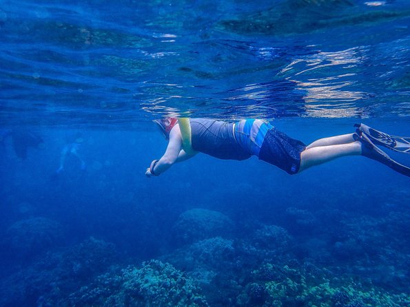 Four Winds Molokini Snorkeling Tour from Maalaea Harbor - Boat comfort, bathrooms, and optional extras