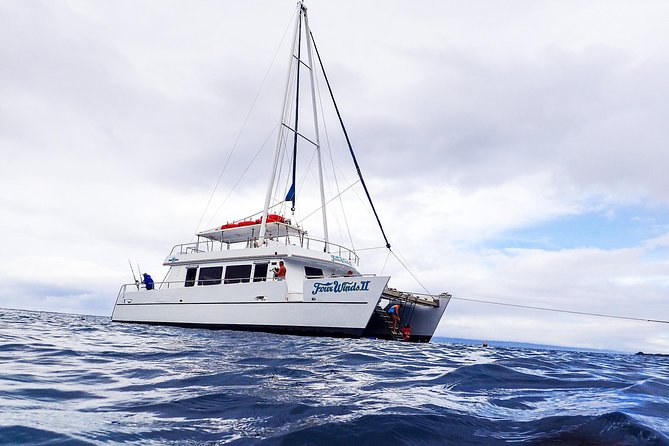 Four Winds Molokini Snorkeling Tour from Maalaea Harbor - The ride to Molokini and the views from the water
