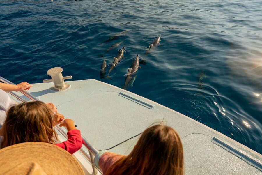 From Hawaii: Eco-Friendly Snorkeling Experience with BBQ - Snorkeling in a protected marine sanctuary