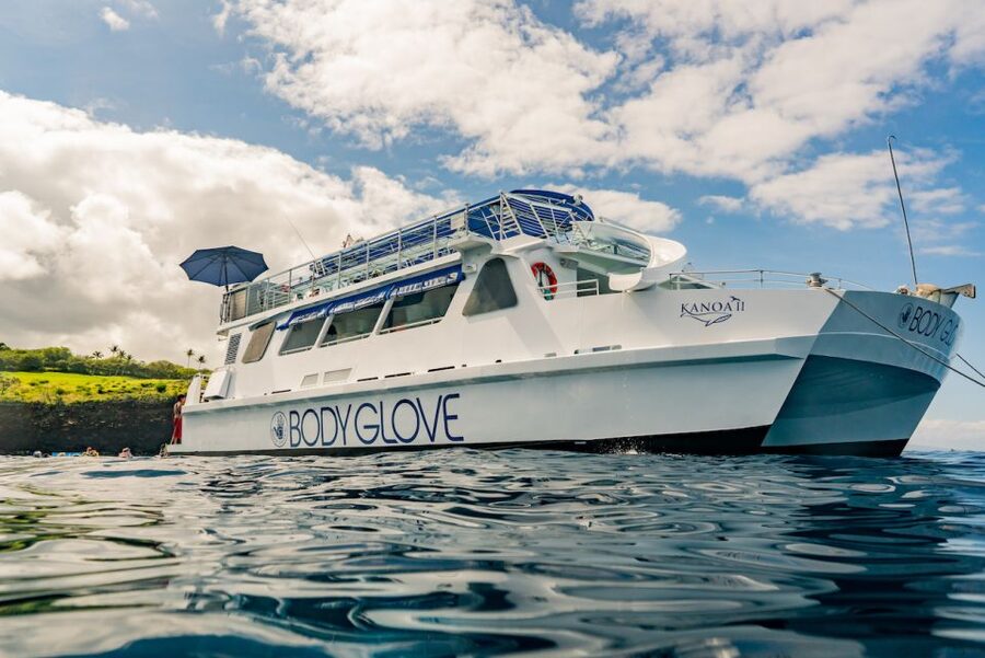 From Hawaii: Eco-Friendly Snorkeling Experience with BBQ - BBQ lunch and the premium cash bar