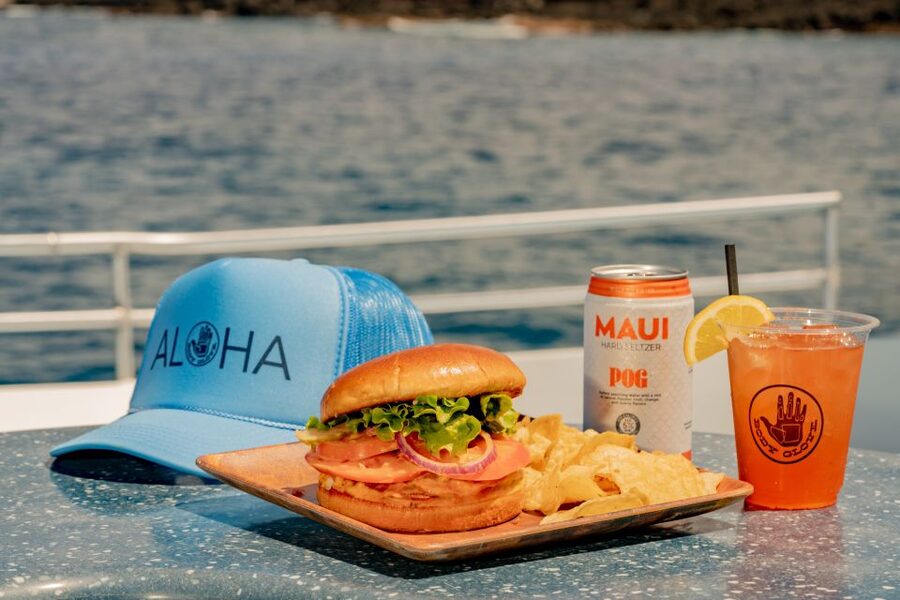 From Hawaii: Eco-Friendly Snorkeling Experience with BBQ - Access and comfort aboard the boat