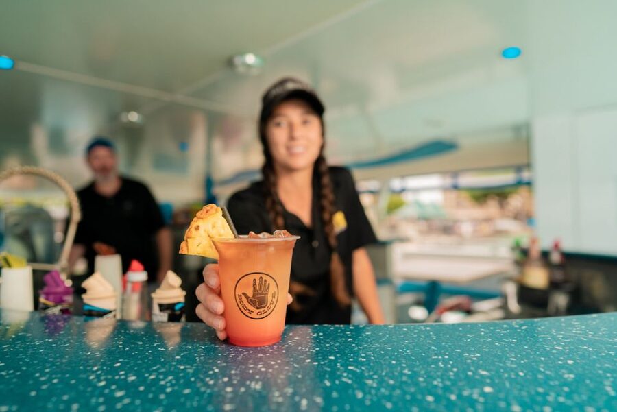 From Hawaii: Historical Dinner Cruise Tour to Kealakekua Bay - Wildlife watching along the Kona shore