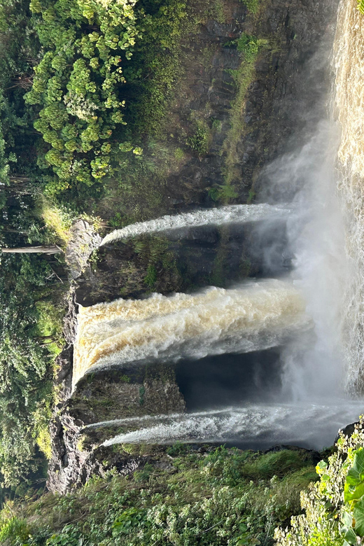 From Hilo: Hawaii Volcanoes National Park Tour - Big Island Candies and the art of the island gift