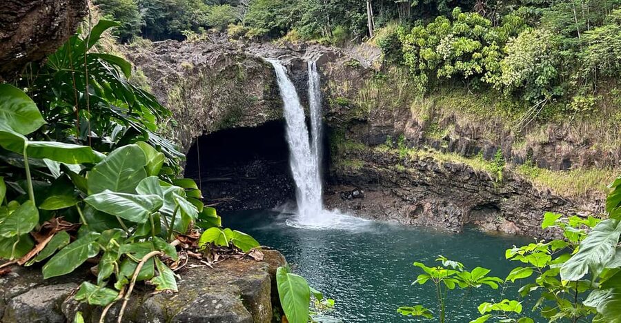 From Hilo: Hawaii Volcanoes National Park Tour - The guide, vehicle, and pace