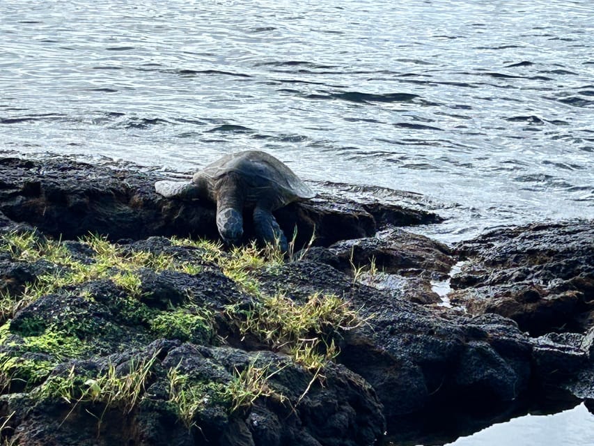 From Hilo: Hawaii Volcanoes National Park Tour - Is the $175 price fair?
