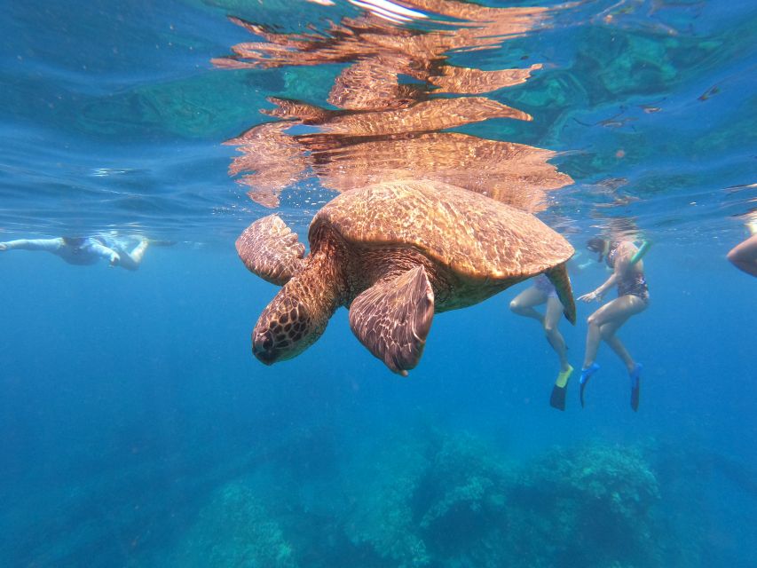 From Ka'anapali: West Maui Half-Day Snorkel Tour w/ Food - Leaving Whalers Village for the Ka’anapali coast